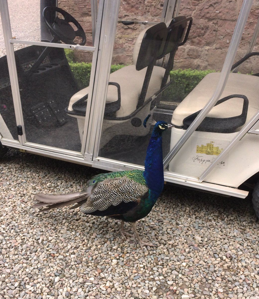 Fasque Castle tweet media