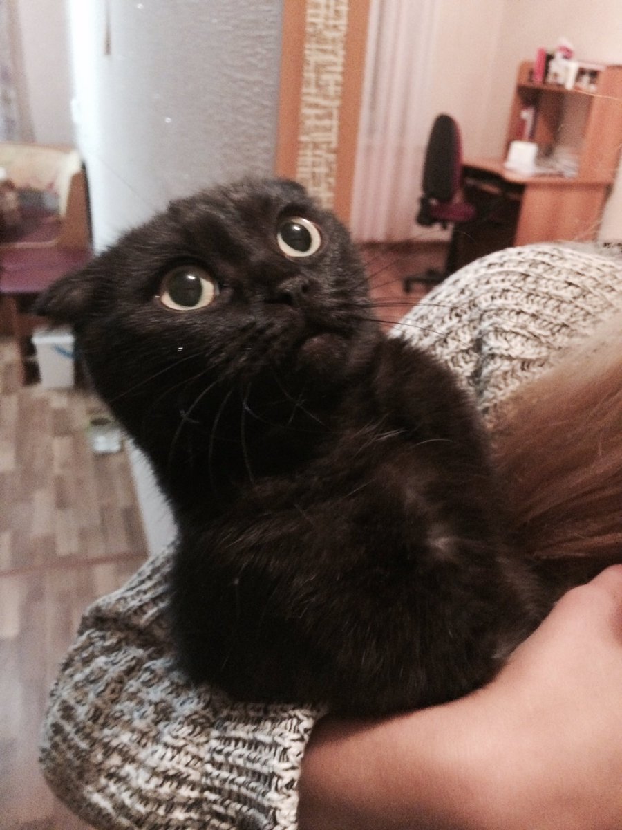 ObsessedEst's tweet image. 💭