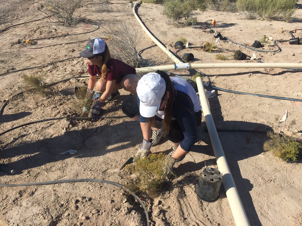 EastTechNHS's tweet photo. Another day of volunteering! @EastTechTitans @NationalHonorSo #Las Vegas Wash Green-Up https://t.co/FSzyzdkBya
