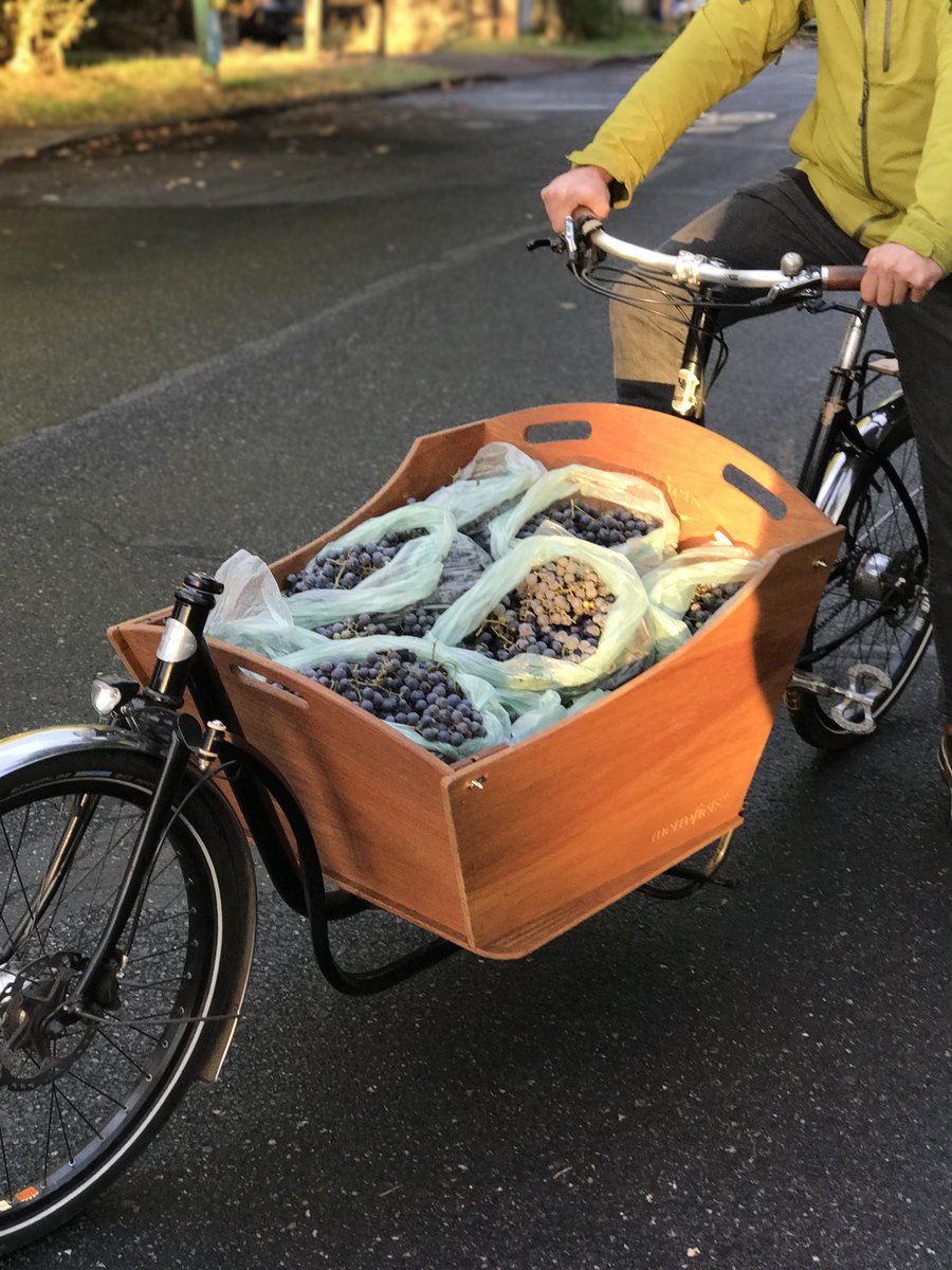 metrofiets's tweet photo. Fall crush #metrofiets style. #cargobike #cargoway #cargoway #carfree https://t.co/5yXZHuZsPB