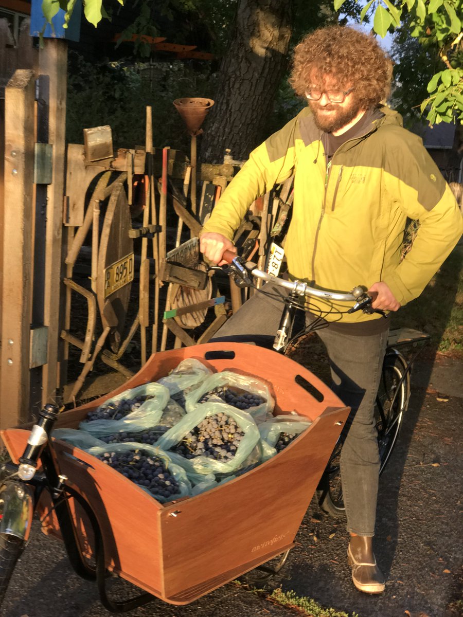 metrofiets's tweet photo. Fall crush #metrofiets style. #cargobike #cargoway #cargoway #carfree https://t.co/5yXZHuZsPB