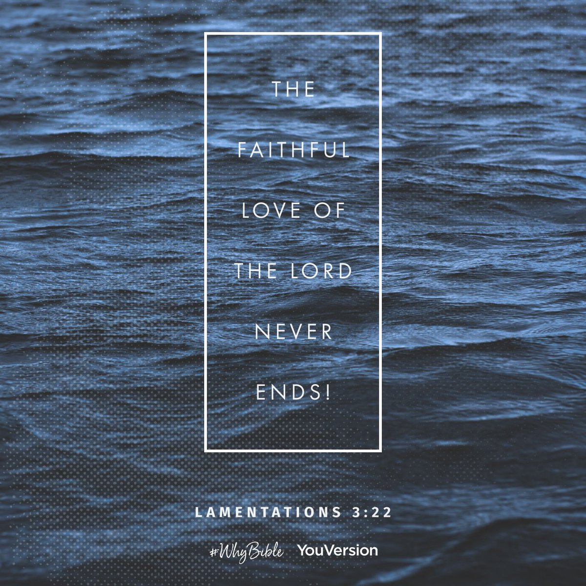 YouVersion Bible App tweet media