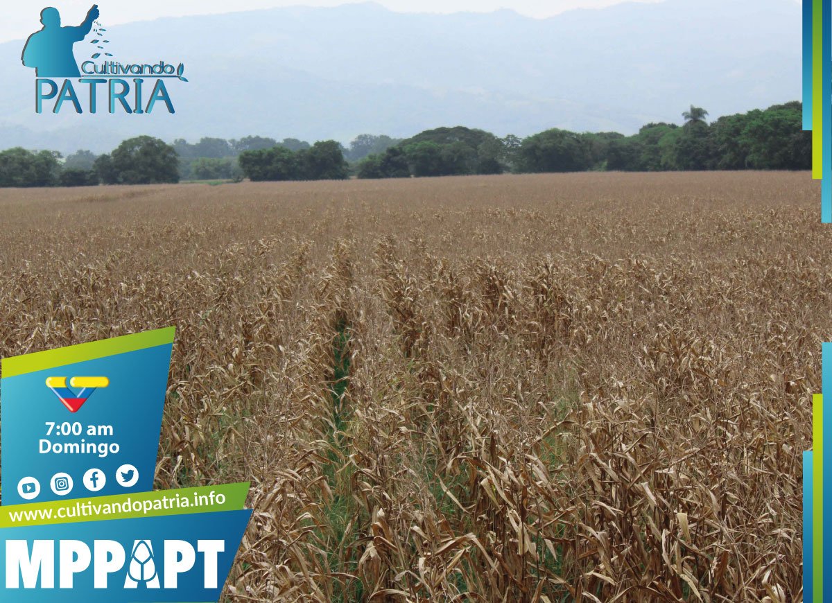 wcastroPSUV tweet picture