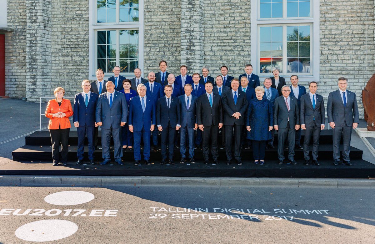 Sort of sums it up. She and the others.