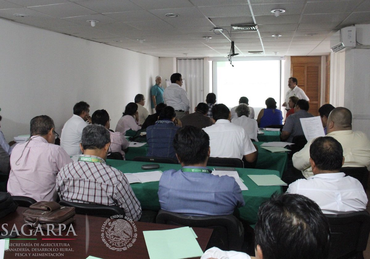 SAGARPACAM's tweet photo. Se realizó en la Delegación el Taller “El Extensionismo con enfoque territorial e indicadores para el seguimiento y evaluación”. https://t.co/I4oAuqA7d9