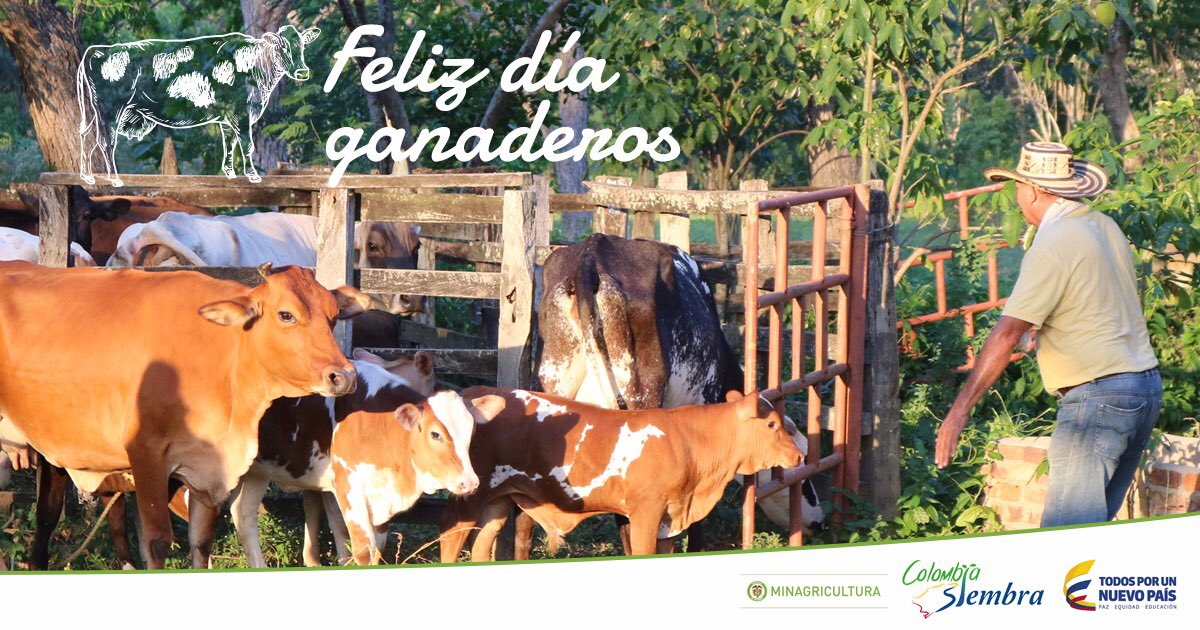 Un inmenso saludo y homenaje  a los ganaderos de Colombia. Nuestro campo cada día es mejor por su arduo trabajo. #JuntosPorLaGanadería