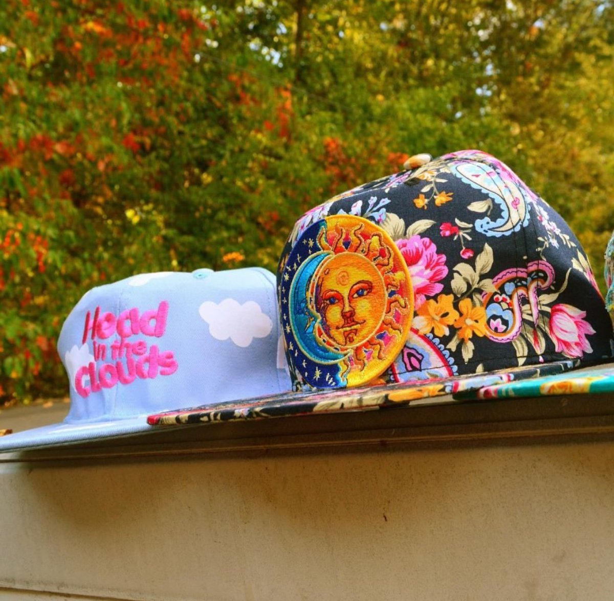 BlueJaySkate's tweet photo. Color change #skate #skater #SnapBack #hat #nature #fallseason #patch #design #leaves #longboard #colors #bluejay #headintheclouds #bussines https://t.co/aOs8jQFcw4