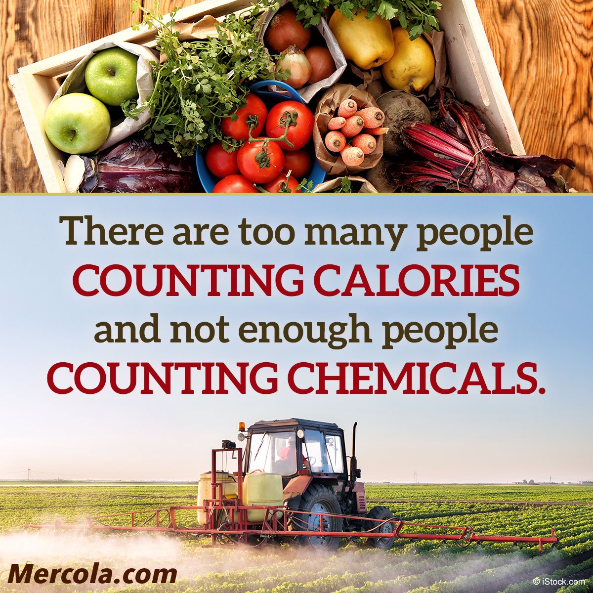 how to eat a high calorie diet mercola