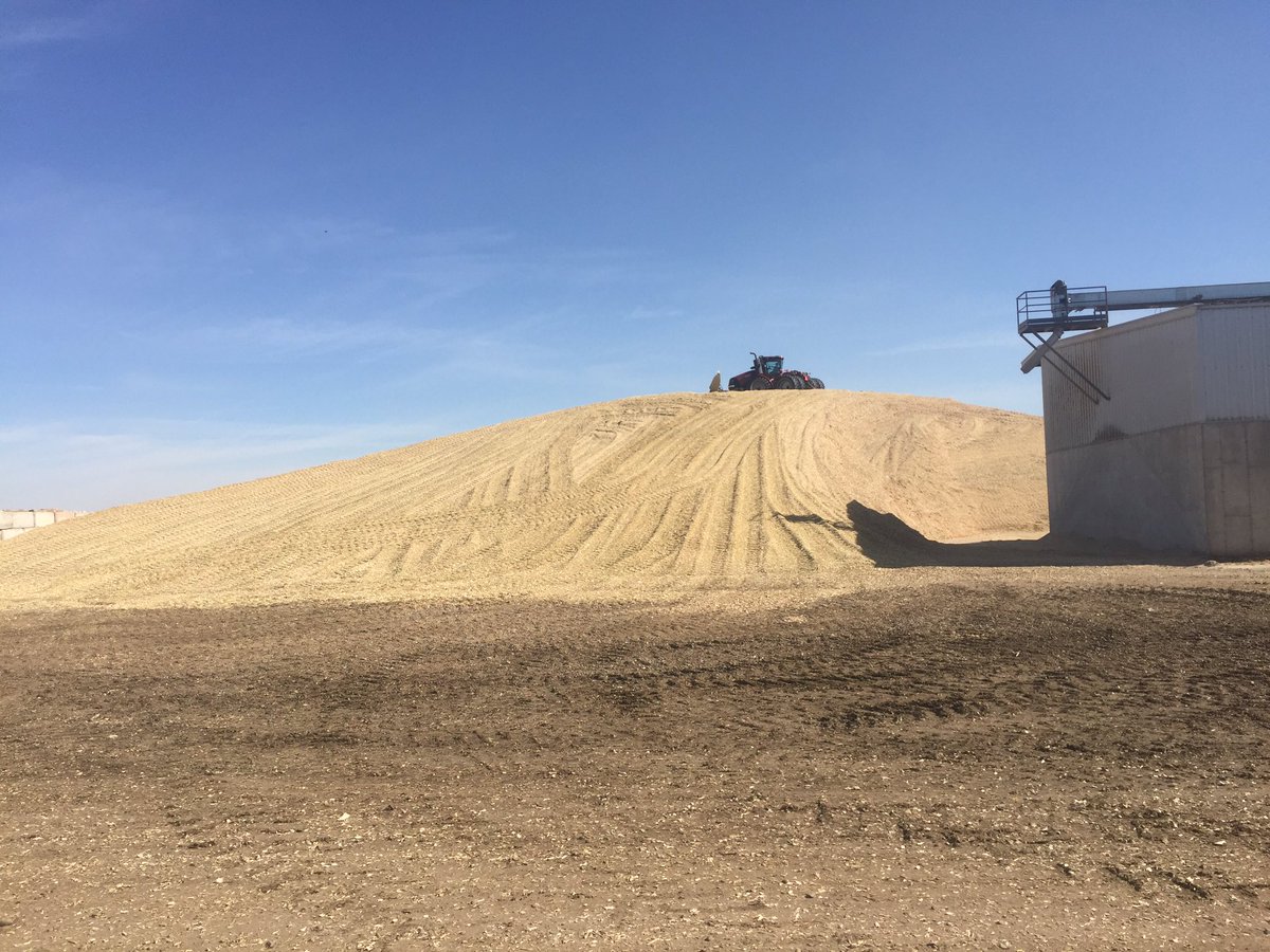 jordankolk_kolk's tweet photo. That's a wrap on corn silage, nearing the end of #harvest17 https://t.co/yki4BCPqKy