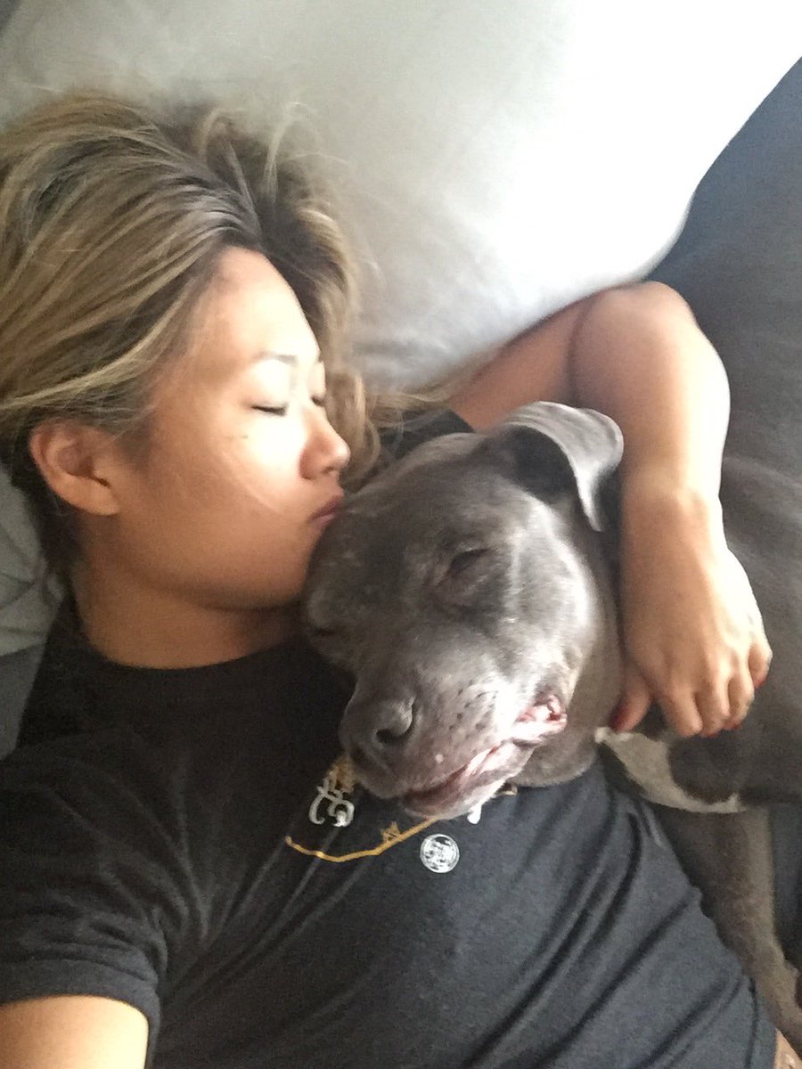 Sexy_NyomiXX's tweet photo. It's so hard to wake up when she's cuddling right next to me. #Deva #PitBull #CuddleBud https://t.co/fxVLv0rLkU