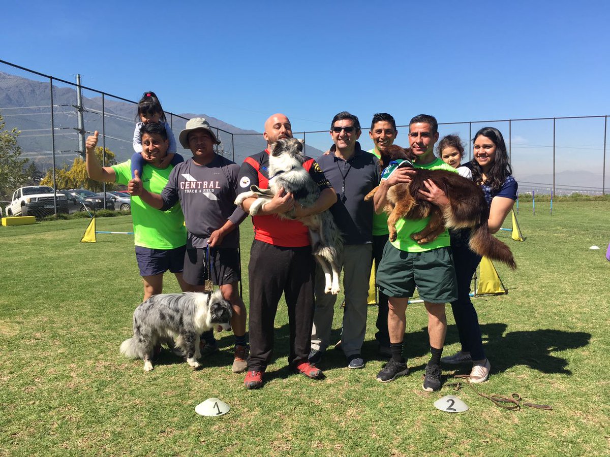 PerrosSec's tweet photo. Gran participación del equipo AGILITY ESC ADIESTRAMIENTO CAN.felicitaciones a nuestros competidores @radiocarab @Carabdechile @museocarab https://t.co/C6WkBv3fJF
