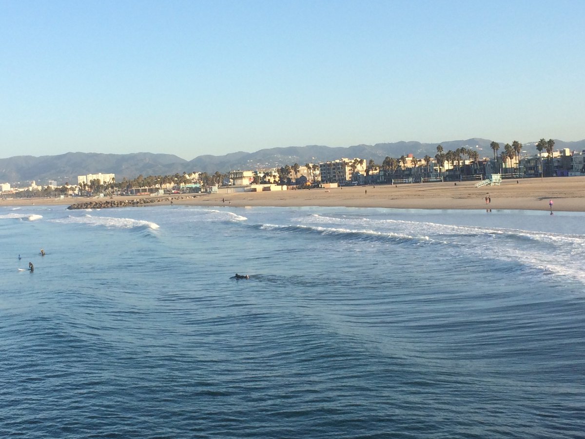 ProdMary's tweet image. another glorious morning #venicebeach #happyplace