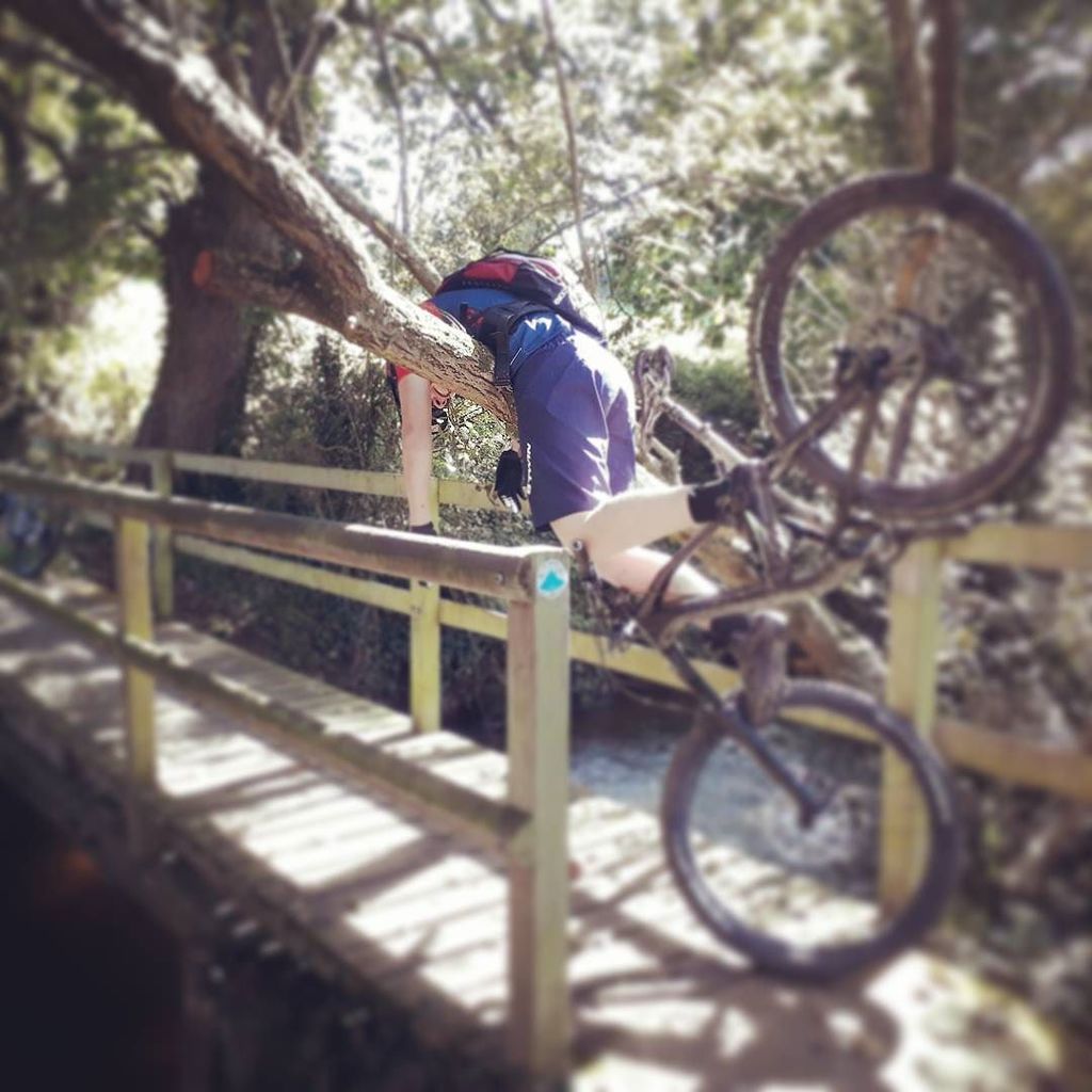 SJdC_Vtt's tweet photo. Attention aux troncs !! #vtt #mtb #normandie #enduro #bucheron #mtblife #tree #granvilleterreetmer #yt #jeffsy #fr… https://t.co/OTBLana4ZY https://t.co/6XGia2ITKr