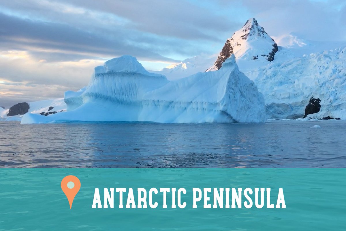 Get lost in Antarctica's stunning beauty + play with a whale up close on the vlog:  bit.ly/2qSZyqm