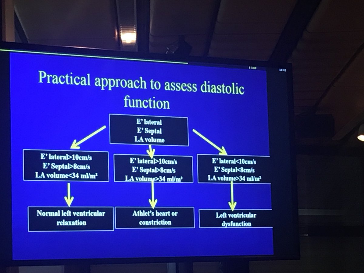 EcoIntensiva's tweet image. Practical approach to asses diastolic funtion with michel slama #EDEC #LIVES2017
