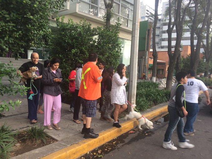 Посмотреть изображение в Твиттере