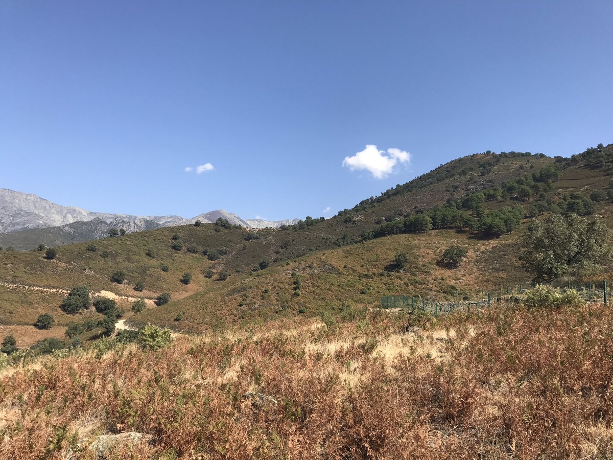 Recuerdos_Mo's tweet photo. Hoy hemos visitado el #CastroElFreillo cerca de #Candeleda uno de los más grande de la edad de Hierro que existen en #Ávila #dron @Avila_CyL https://t.co/uXoFflQ1am