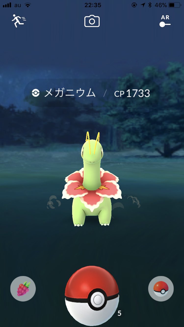 あさ蜜柑 野生のメガニウムいてビビった ただし弱い T Co Jb0qhgafhn Twitter