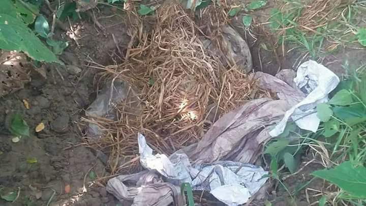 Home-made mines hidden by #ARSA  #extremist  #Bengali  #terrorists  seized at foot of Mayu Hill near Myitna Village, Yathedaung Township.