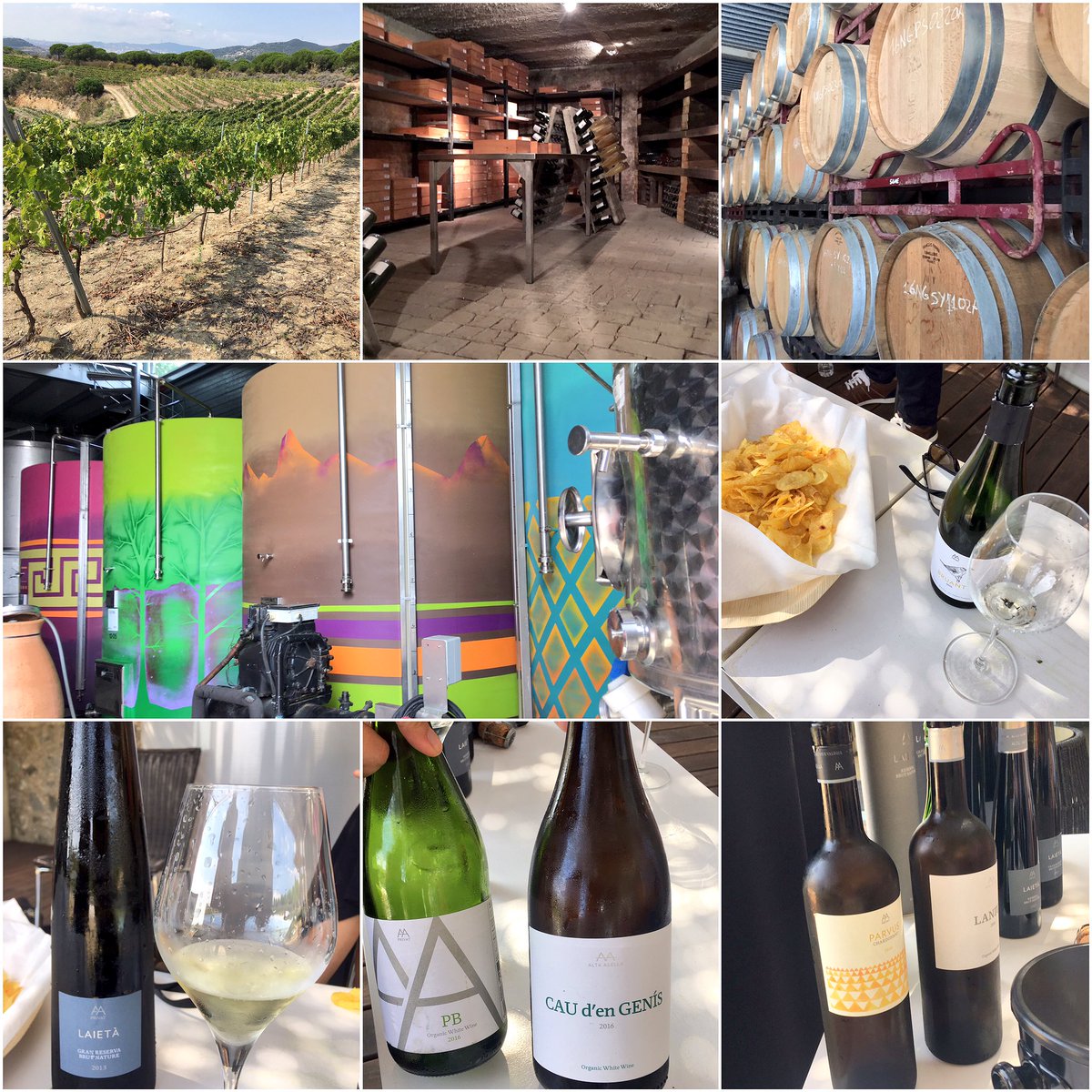Fascinating morning tour of Alta Alella vineyard followed by #wine tasting! #winelover <a href="/GoodThingsUK/">Good Things Magazine</a> <a href="/VisitBCN_EN/">Barcelona</a>