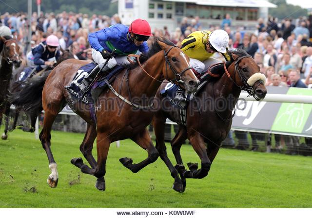 StablesInsider's tweet photo. THE INFO WAS RIGHT AS WE LAND A 100% STRIKE RATE DAY. #JAMESGARFIELD WINS AT 4/1!!!!

https://t.co/w6pFP8Ioyo
@NewburyRacing #frankiedettori https://t.co/XlKQEbc2Er