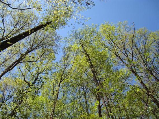 santeecooper's tweet photo. Follow us on Instagram for adventures, photos and videos of our beautiful state! #SouthCarolina https://t.co/x8WHgfOTLr #LifeinSC https://t.co/lFb0wV3K2s