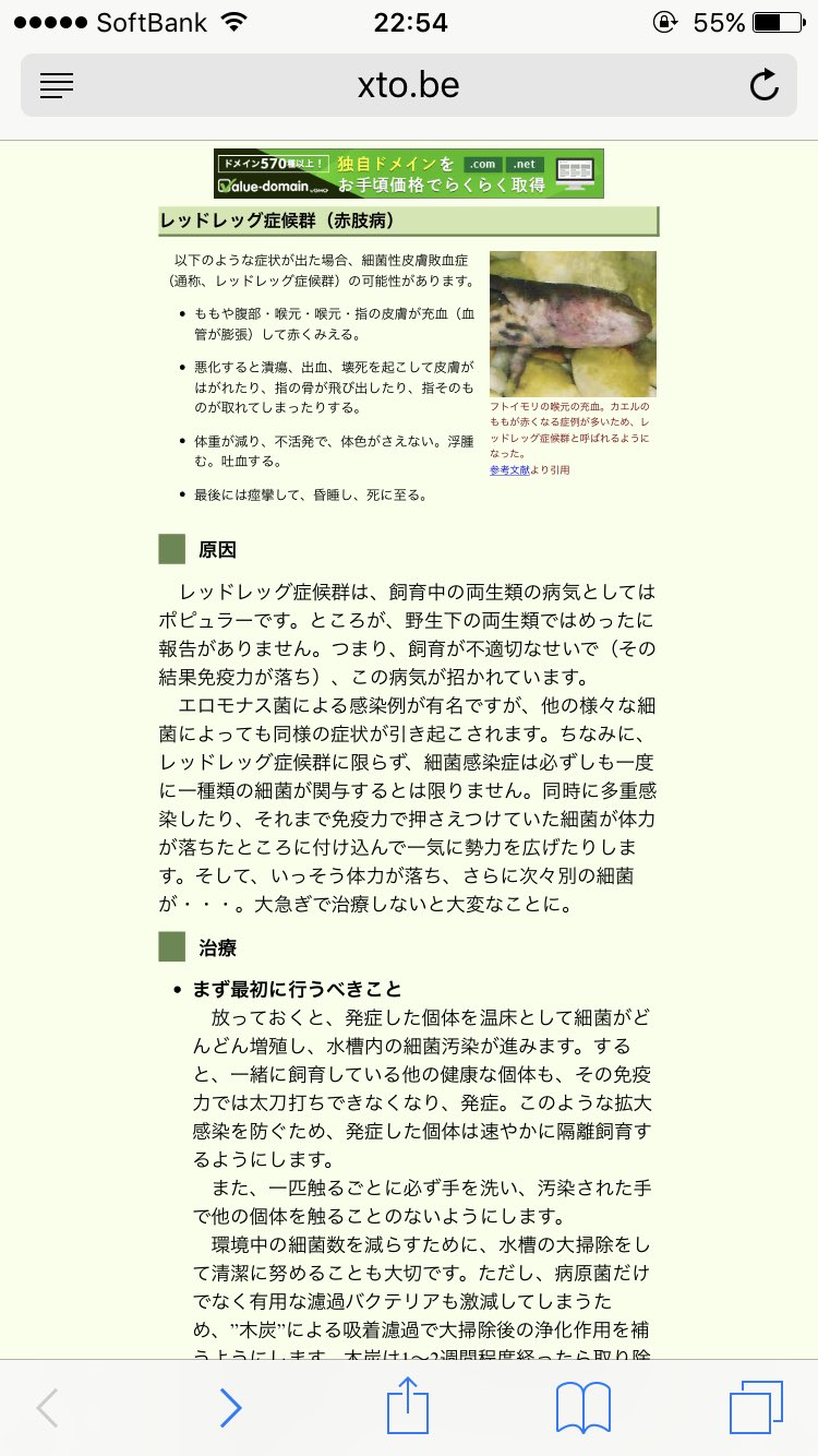 Yuki レッドレッグ病 ですか 明日病院に連れていきます 先生が10度以下にしてくださいと仰っていたのですが この治療をやった事ある方に冷却の仕方や 薬浴 ききたいです一人暮らし用の冷蔵庫なので小さいプラケースにウパをいれて10度以下にするのは