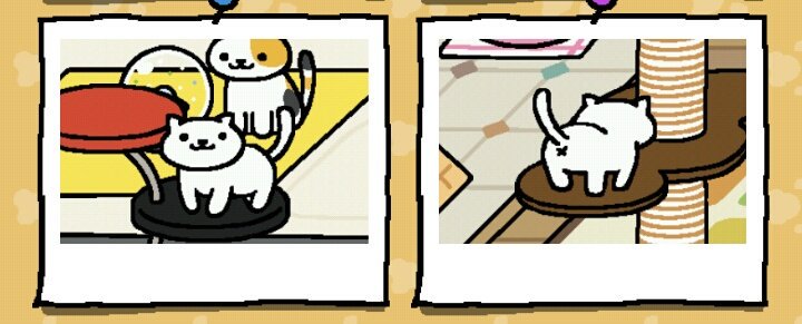 里鯉 On Twitter ねこあつめ ふじでこさん 中々お尻の模様を見せてくれない 立ってる後姿が見れるグッズが欲しいな