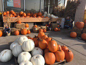 lauracook131's tweet photo. It doesn't feel like it, but fall is here!  #THD2820 #pumpkinpatch @BurgEric22 https://t.co/E0DvHfvr1u