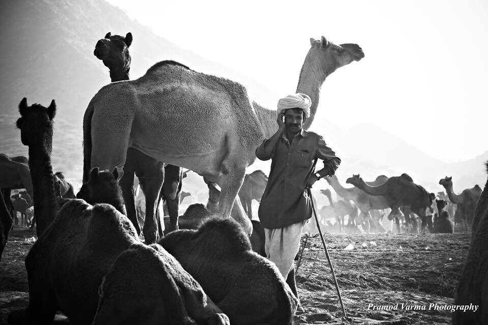 VarmPram's tweet image. Happy Villager #travelphotography #Rajasthan #india #PicOfTheDay #BnW #Moments #villager #life