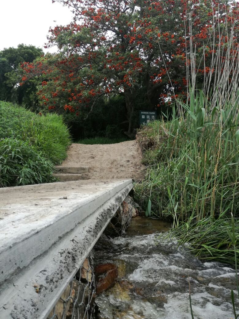 Hey check it out, We have a new Bridge in the Baakens !!! #baakensvalley #bridge #trails