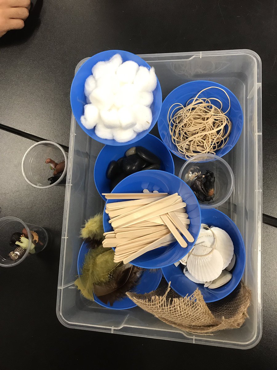 mswongs_class's tweet photo. @OntScienceCtr bright and early to explore inquiry with @TDSB_STEM Gr1 seasonal change- build a structure to protect from wind #STEMified https://t.co/z2XqyVq8Id