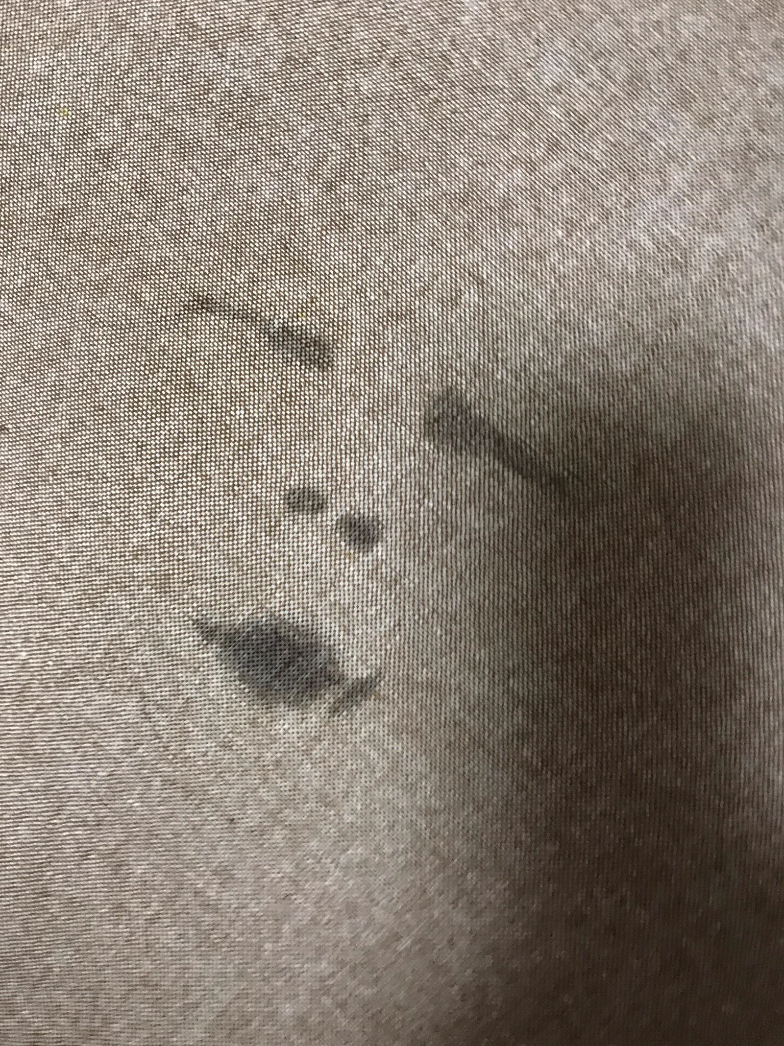 涙を流したまま顔をクッションに押し付けるとホラーな状況になるｗｗｗ