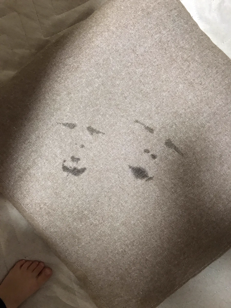 涙を流したまま顔をクッションに押し付けるとホラーな状況になるｗｗｗ