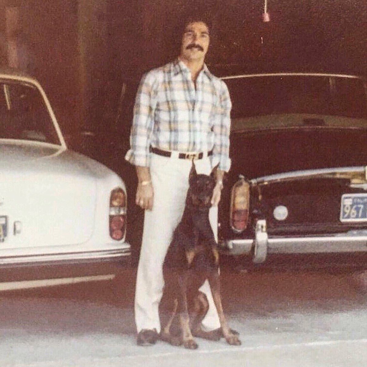 My dad was a boss! Double Roll's w his Doberman