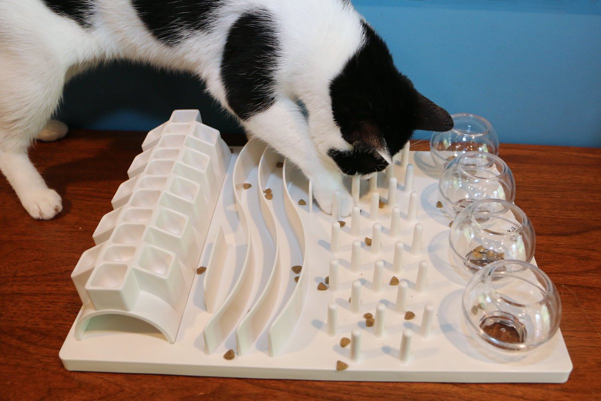CatalystCouncil's tweet photo. “Animals—even humans—are happier when they work for meals.” Tony Buffington recommends food puzzles for pets. #HappyCatMonth @DrBuffCat https://t.co/9dsvEwECah