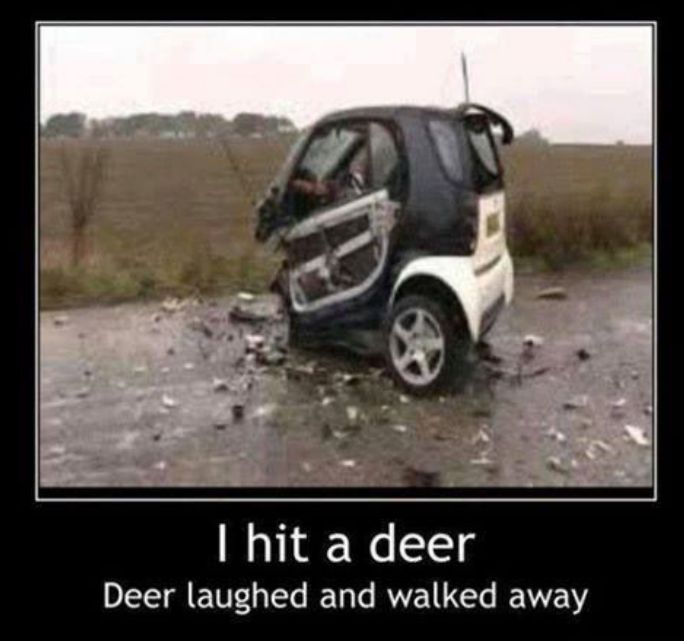 collisionworks's tweet photo. Hit a deer? We can help ease the pain! #HitADeer #Ouch #Autobody

https://t.co/N7ibzsklvS https://t.co/mQUwmZFF31