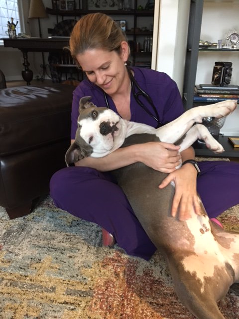 VetPronto's tweet photo. Love: Dr. Sarah and Mr. Bates. https://t.co/A1qhqcQFkl