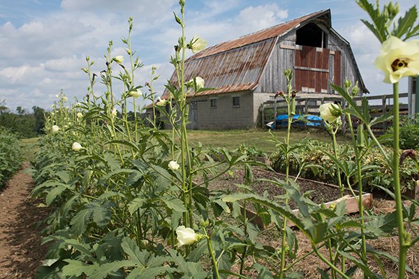 VCF is looking for a #FarmManager! #agriculture #agjobs #oldhamcountyjobs #hopsyard 
hubs.ly/H08BR-c0