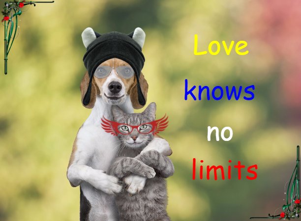 libable's tweet photo. Love knows no limits https://t.co/U1FDnpp3Dy