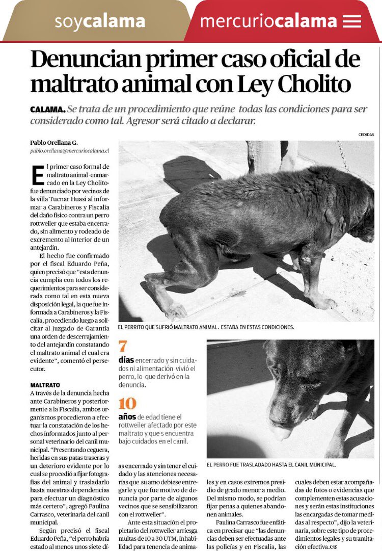 jaimearaya's tweet photo. Buena noticia pa compartir, ahora Carabineros, Fiscales y Jueces tienen herramientas que protegen a mascotas 🐶🐱del maltrato RT que se sepa ! https://t.co/tlvQHM28ry