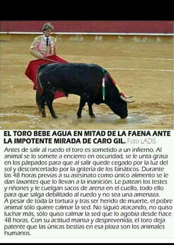 LU Ⓥ🌱 tweet media