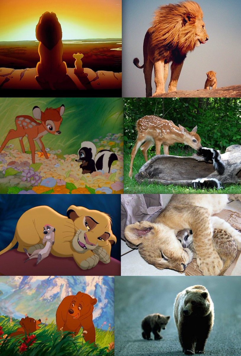 Salooun's tweet photo. Les personnages de Disney dans la vraie vie https://t.co/duIXqsOglY
