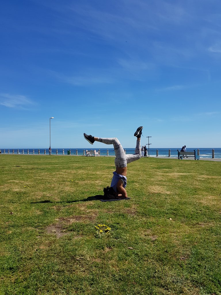 When the weather's this beautiful you just have to train outdoors 🤗🌻🤗