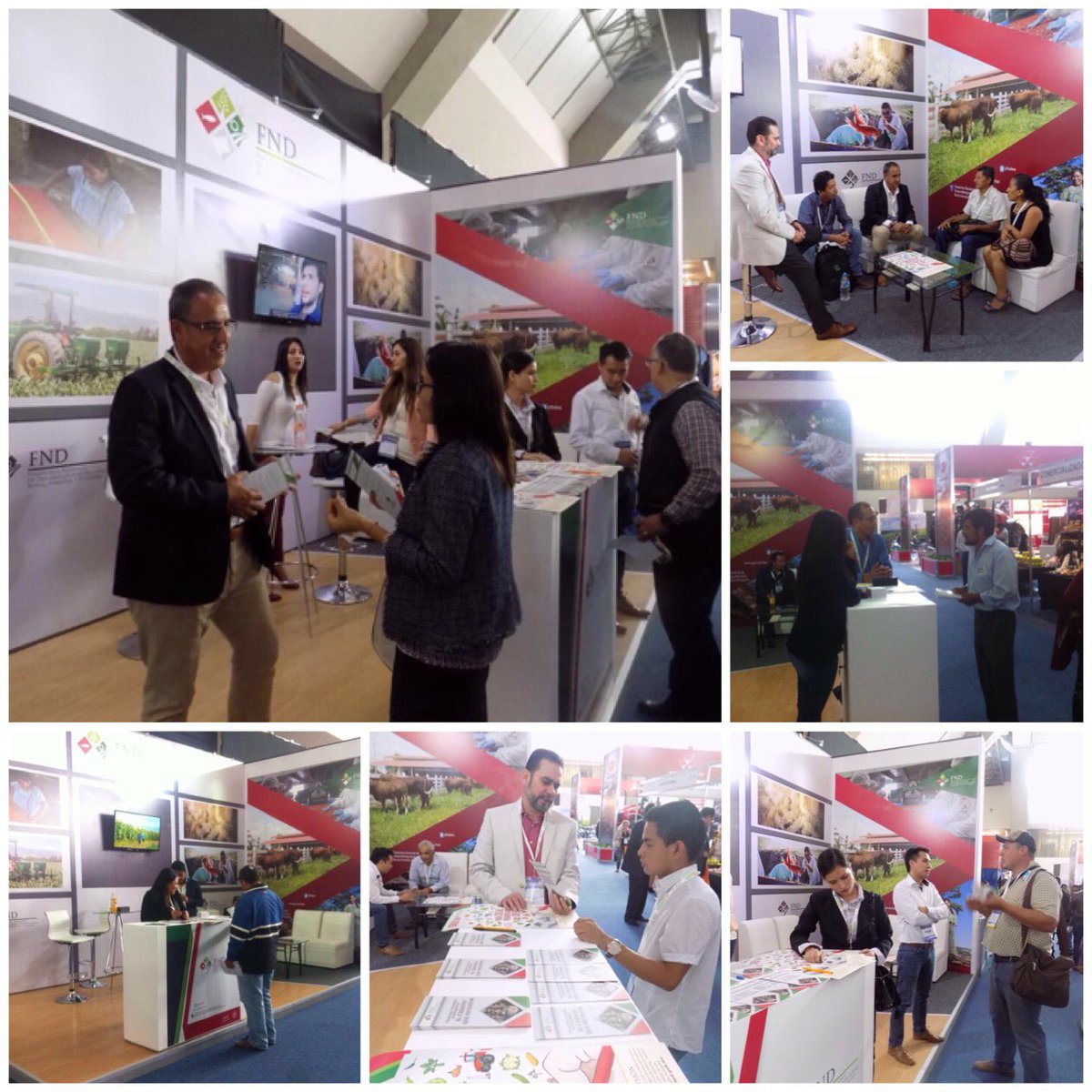 FNDMX's tweet photo. Tercer día del #FGA2017. Atendemos a tod@s los emprendedores e interesados en financiamiento para proyectos del #SectorRural 🚜. #FNDTeApoya https://t.co/FGlqwGoPXQ