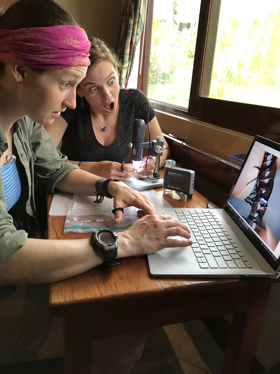 TheBugChicks's tweet photo. Give two #bugdorks a microscope and a millipede in the Amazon Rainforest and, well... others do "glamour". We do enthusiasm. #notstaged https://t.co/zogLE5Lub2
