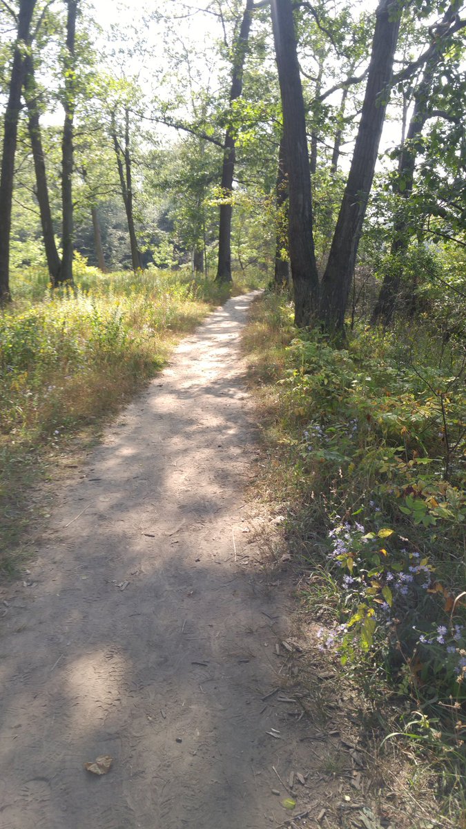 HamOntGore's tweet image. @SoBiHamilton to #PrincessPoint for #ParadiseProject - you can be in nature at a free performance in 30 mins from the Gore / Core!