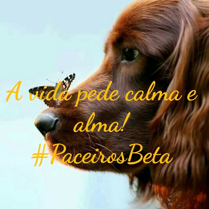 .. A vida pede calma e alma! #PARCEIROSBETA