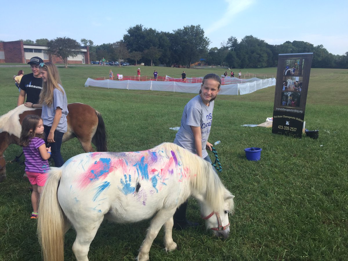 Stuartbulldogs's tweet photo. Have you ever painted a horse?! Come check out https://t.co/iuFaOkFkQ0 #StuartFallFestival2017 https://t.co/lHC9ABmsBw