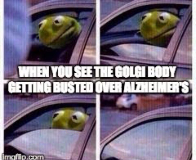 MrRuffEndoRetic's tweet photo. Yikes 😬 #organellewars @wcsFvHsdd https://t.co/pExlz9RNn5